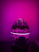 Proyector Huevo de Dinosaurio