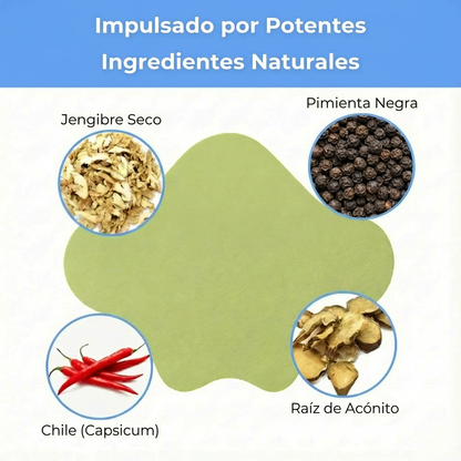 Parches Para Alivio Del Dolor Ciático